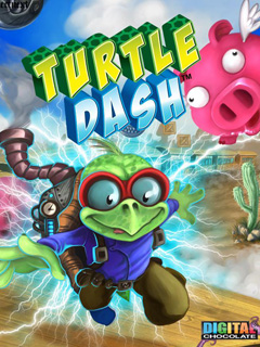 Turtle Dash